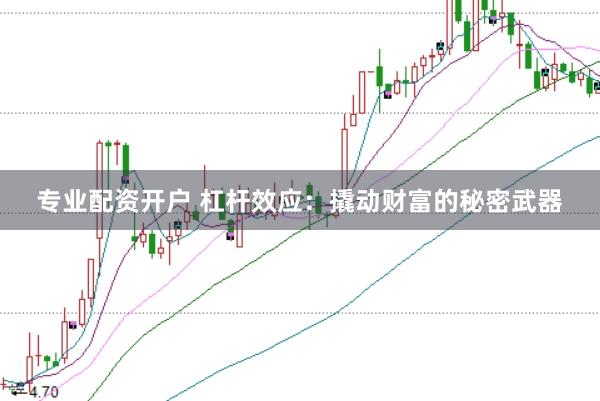 专业配资开户 杠杆效应：撬动财富的秘密武器