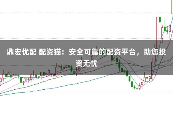 鼎宏优配 配资猫:安全可靠的配资平台,助您投资无忧