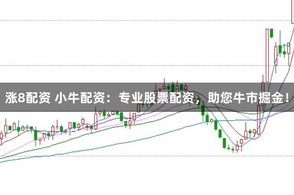 涨8配资 小牛配资:专业股票配资,助您牛市掘金!