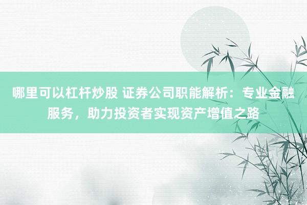哪里可以杠杆炒股 证券公司职能解析:专业金融服务,助力投资者实现资产增值之路