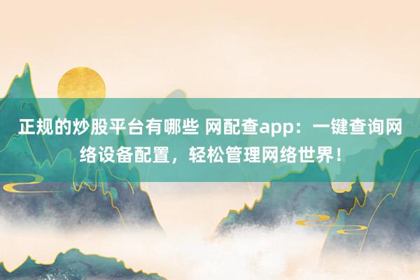 正规的炒股平台有哪些 网配查app：一键查询网络设备配置，轻松管理网络世界！